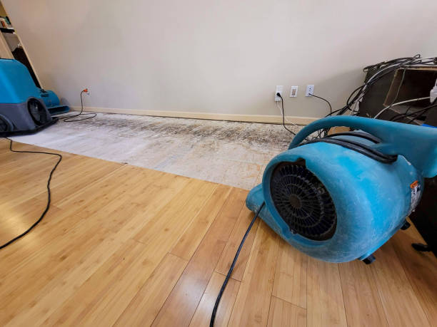 Professional Flood Damage Cleanup technician working in Moro, IL